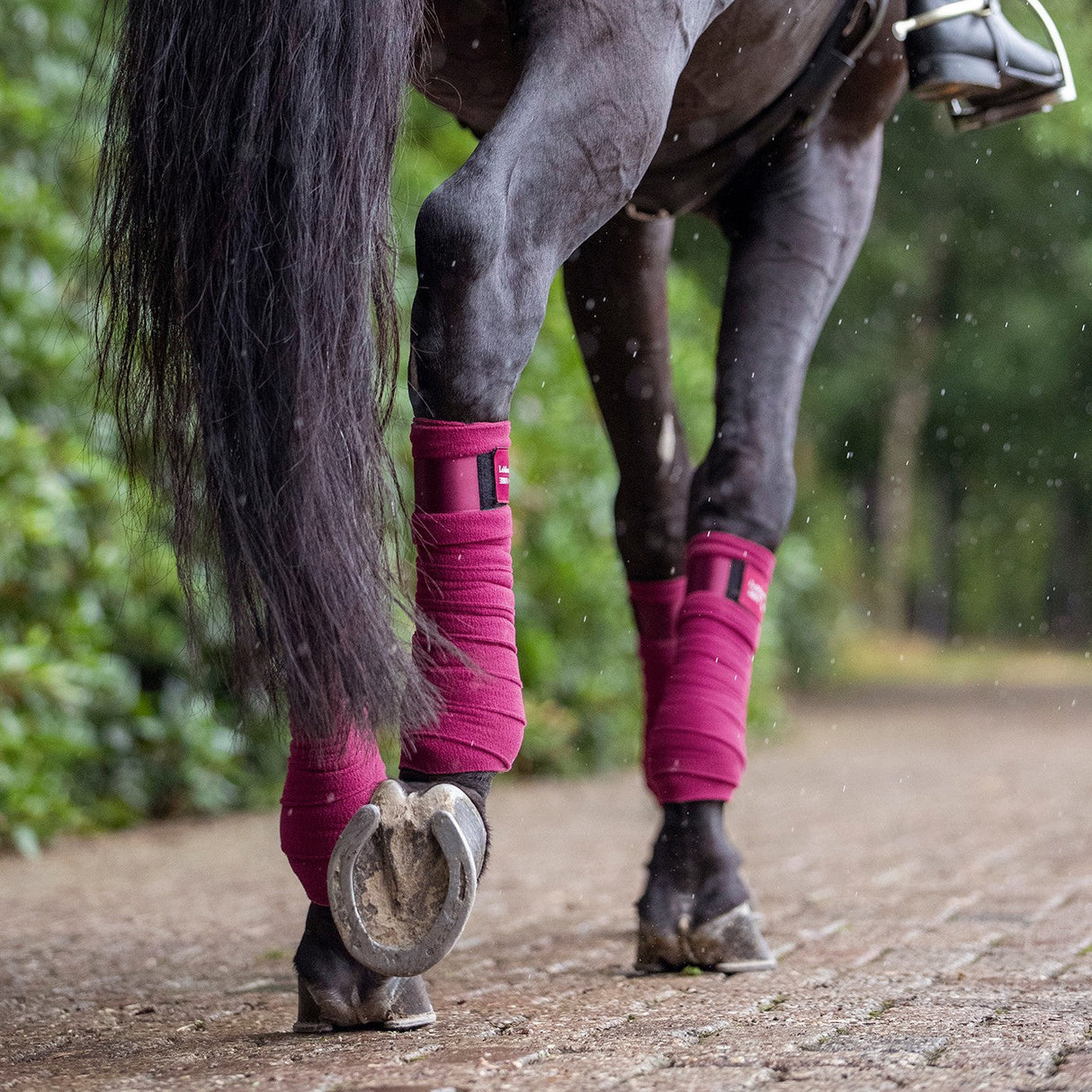 LeMieux Loire Polo Wraps