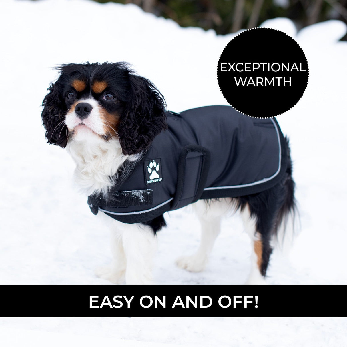 Shedrow K9 Vail Dog Coat