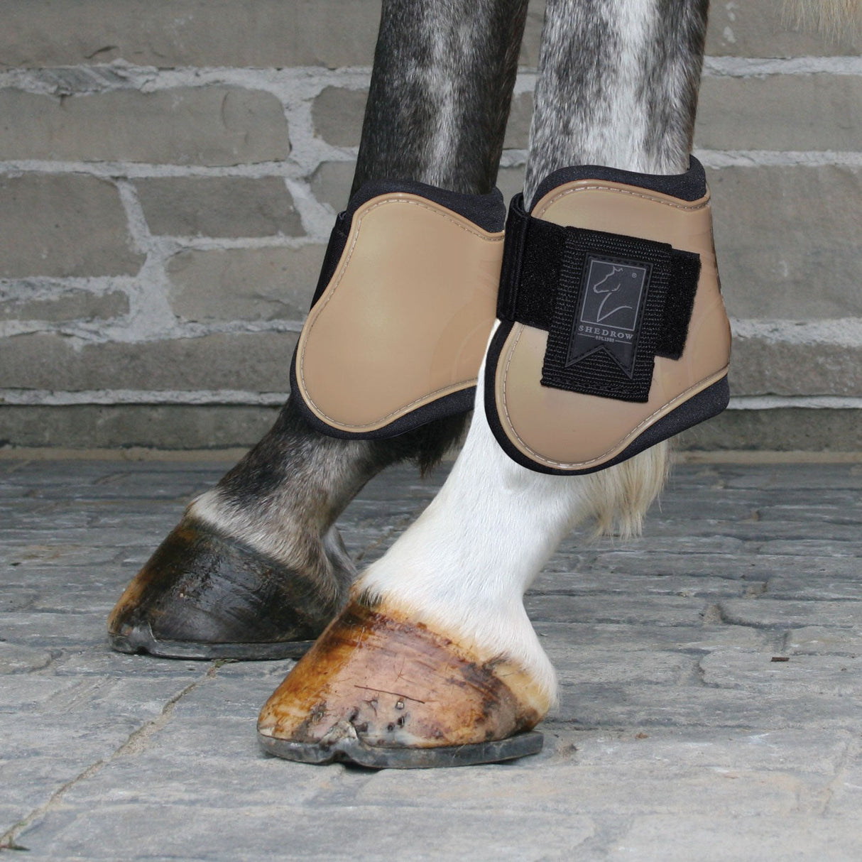 Shedrow Fetlock Boots