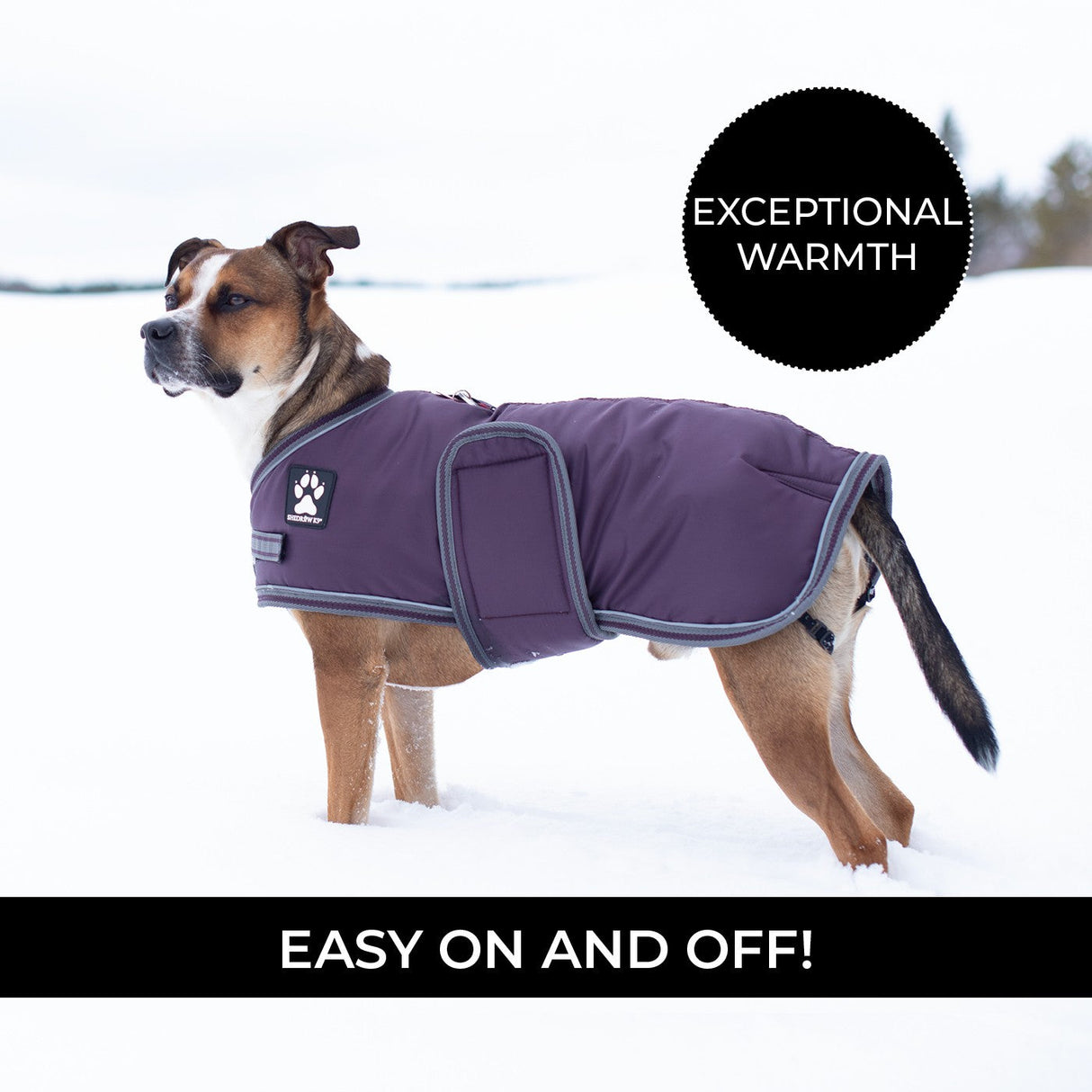 Shedrow K9 Vail Dog Coat