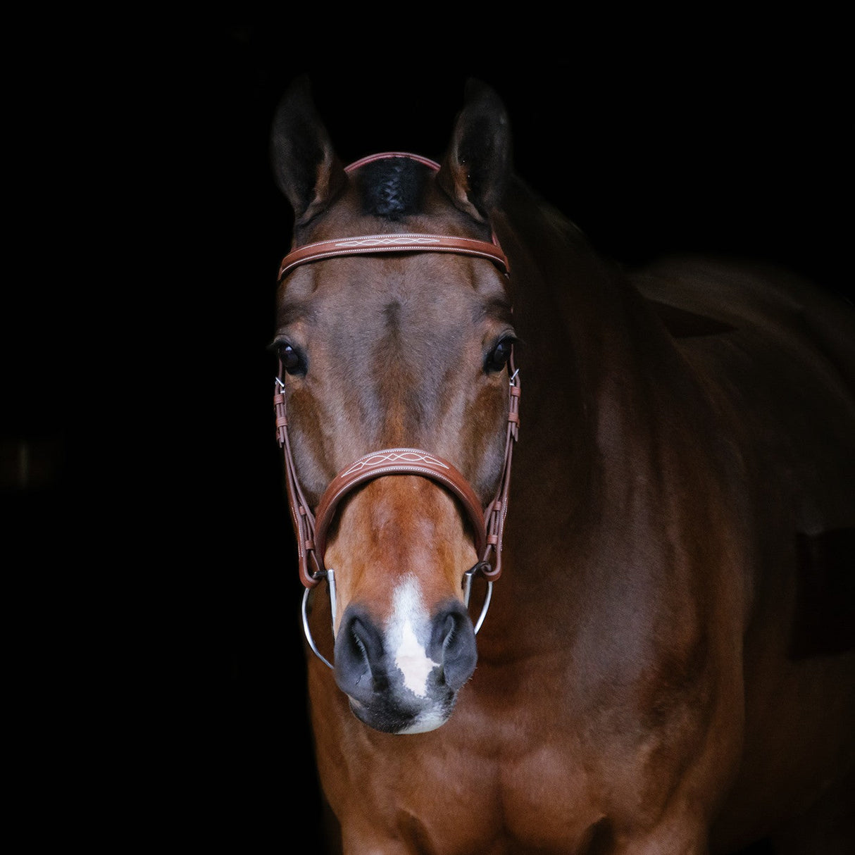 Mondega Gayo Classic Hunter Bridle