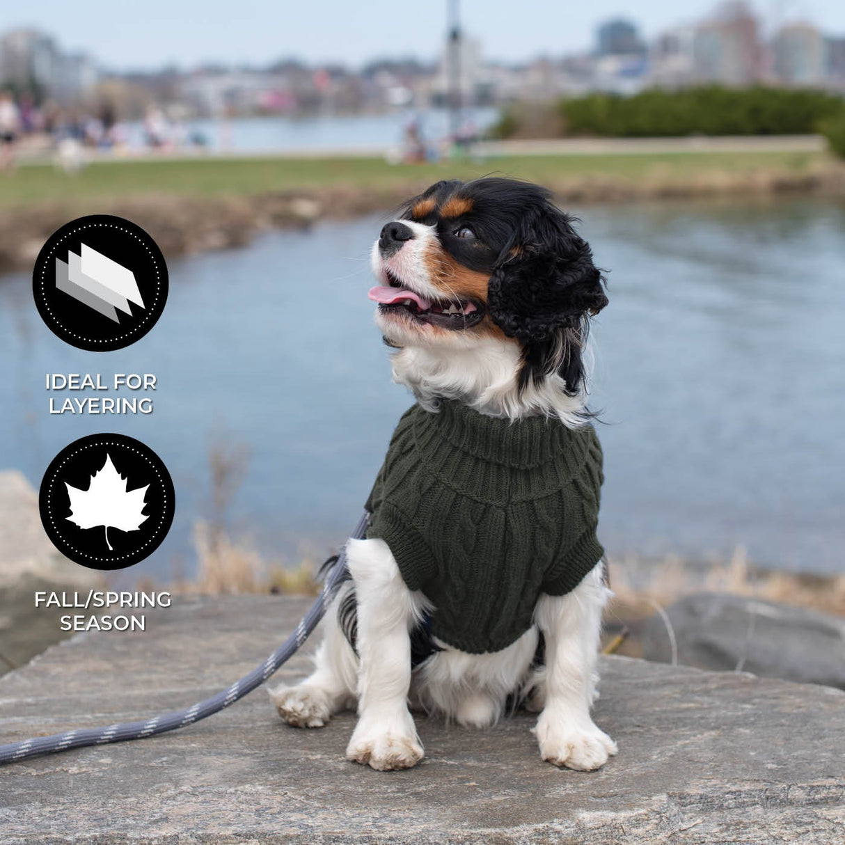 Shedrow K9 Brentwood Cable Knit Dog Sweater