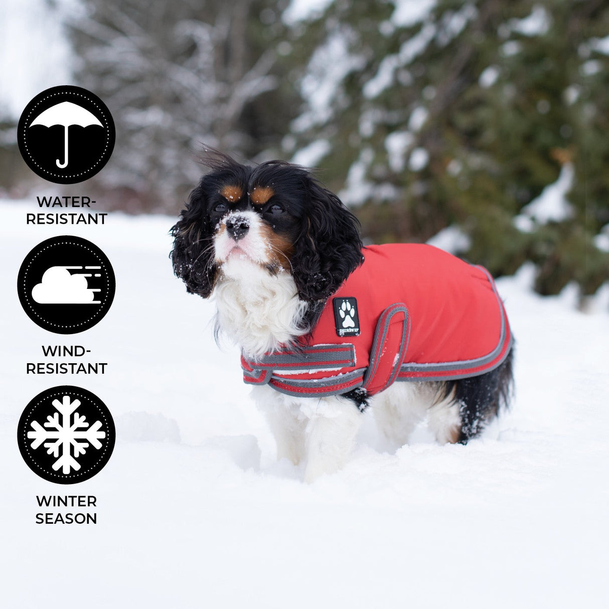 Shedrow K9 Vail Dog Coat