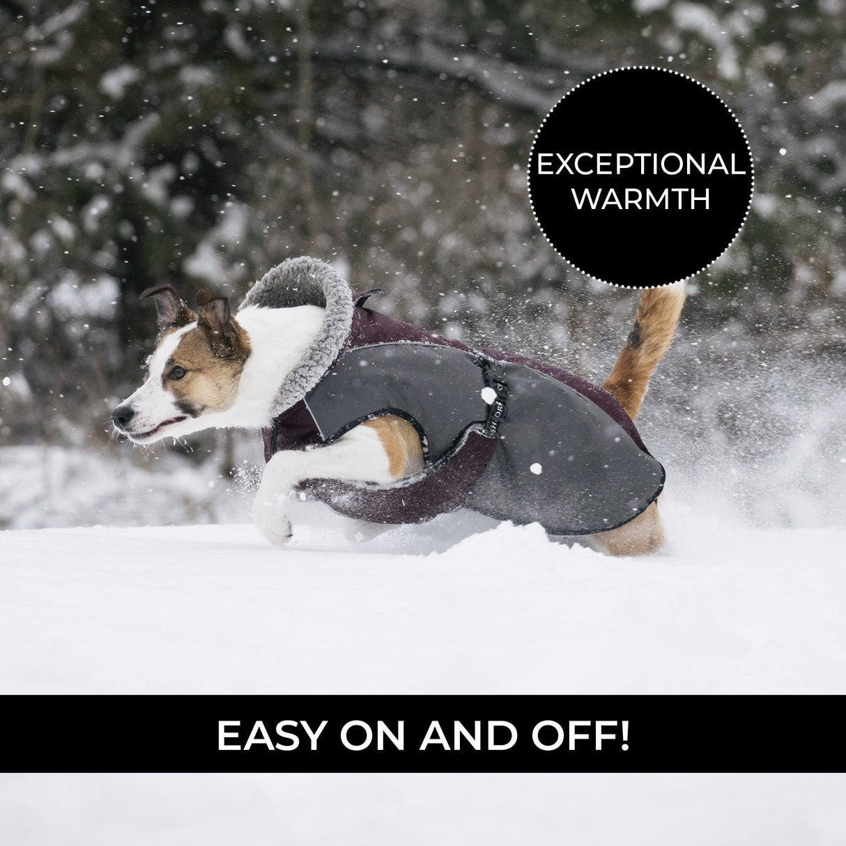 Shedrow K9 Chinook Dog Coat