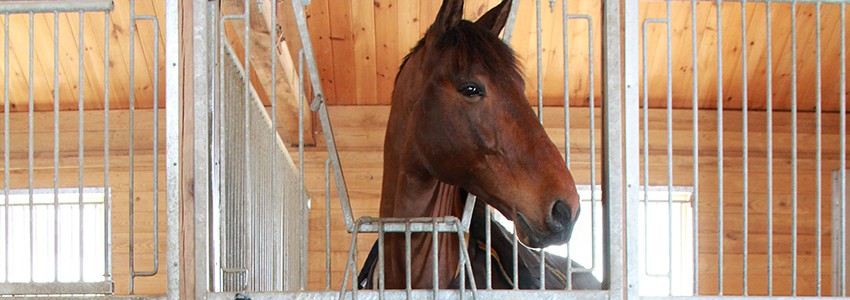 Stall Guards