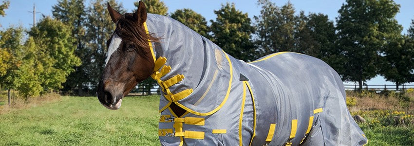 Fly Sheets