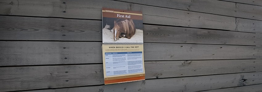 Horse Care