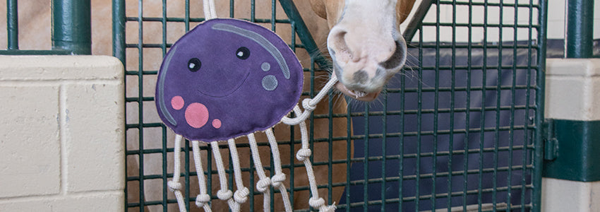 20% Off Stable Supplies