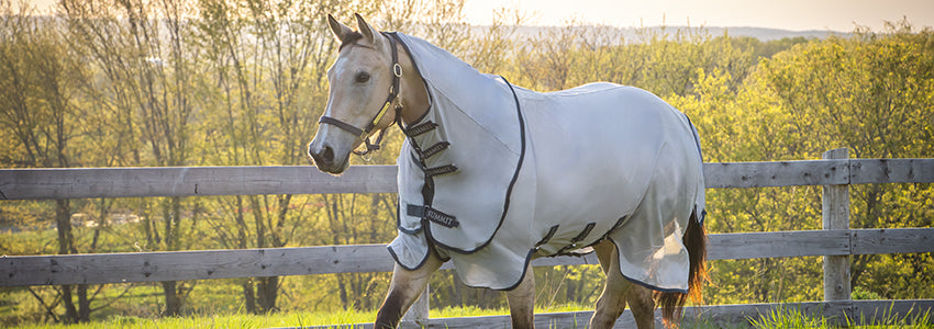 20% Off Summit Fly Boots, Sheets & Masks