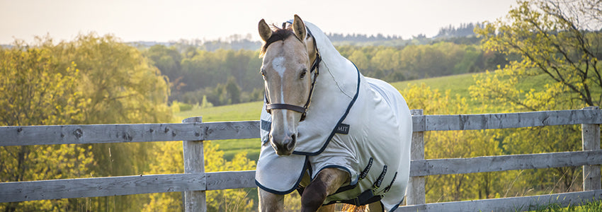 20% Off Summit Fly Protection
