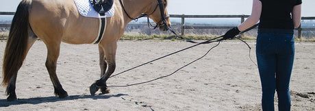 Lunging & Driving Whips