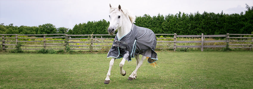30% Off Shedrow, Swift & Supra Blankets & Sheets