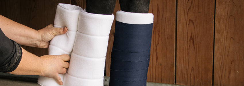 40% Off Supra & Shedrow Horse Boots & Bandages