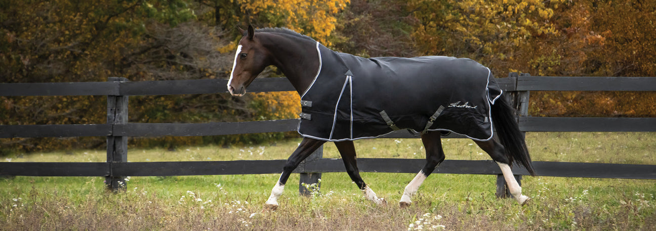 Fall Into Savings! 30% Off Supra, Shedrow, Swift & Summit Blankets