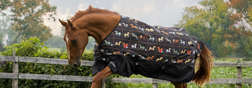 40% Off Supra & Shedrow Blankets