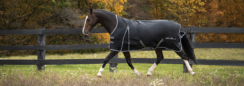 Shedrow & Supra Blankets