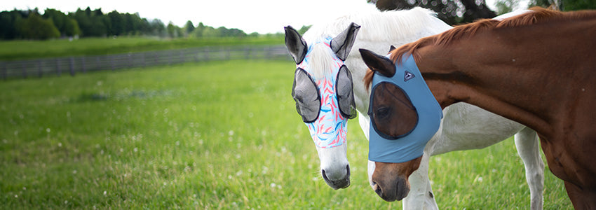 50% Off Supra, Shedrow, Summit & Swift Fly Masks & Sheets
