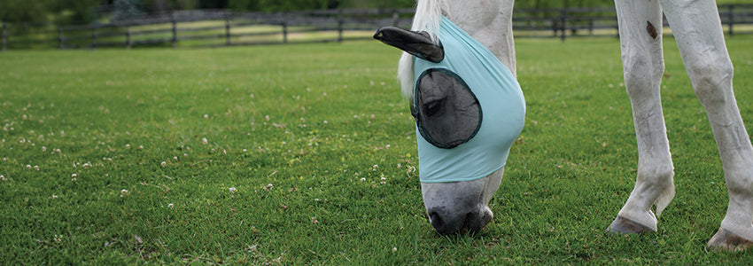 Shedrow & Supra Fly Masks