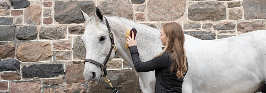 This Week Only! 40% Off Shedrow & Supra Grooming
