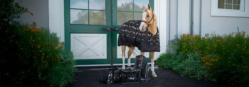 30% Off Shedrow Luggage