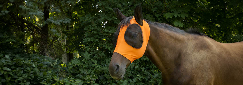 This Week Only! $9.99 Select Lycra Fly Masks!