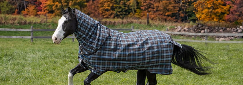 New Fall Arrivals