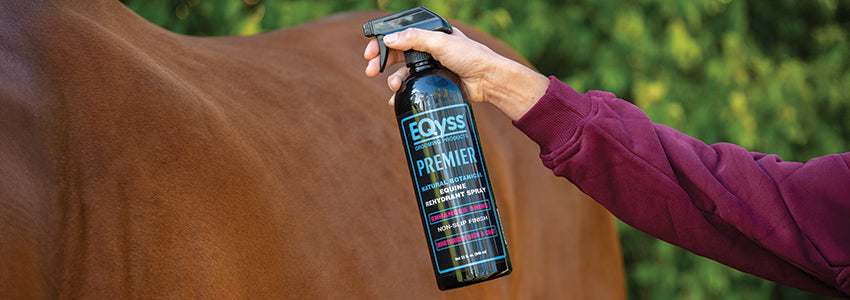 Greenhawk’s Good Grooming Awards: Coat Care