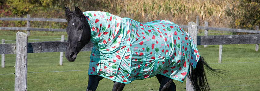 Limited Edition Flamingo Breeze Fly Collection