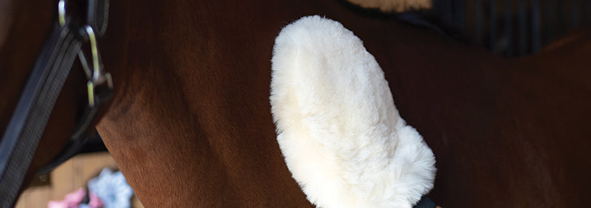 Greenhawk's Good Grooming Awards: Grooming Kit Essentials