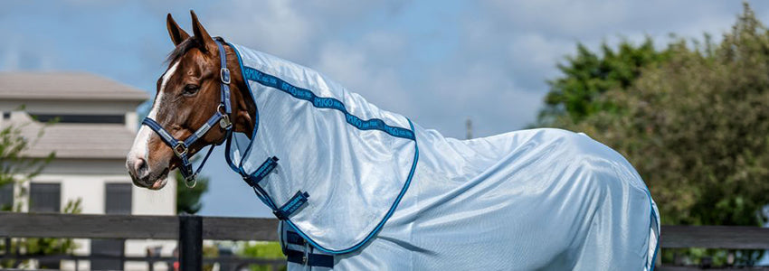 UV Protection For Your Horse