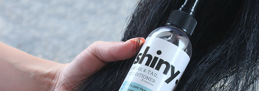 The Infused Equestrian