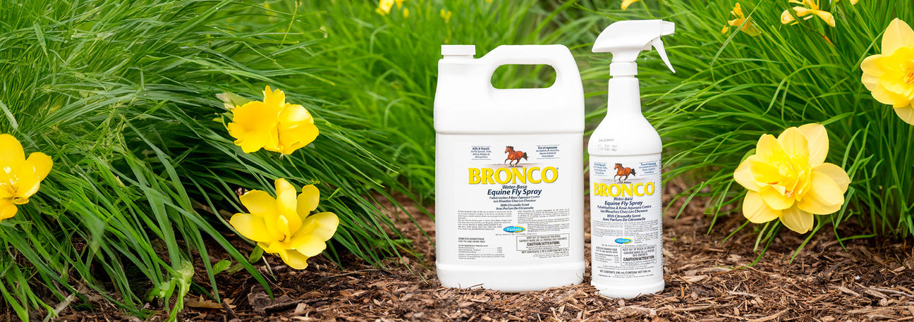 This Week Only! 15% Off Fly Spray