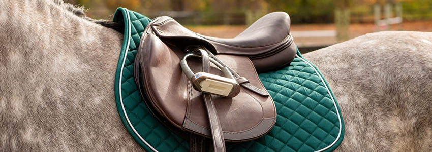 This Week Only! 40% Off Shedrow & Summit Saddle Pads, And $4.99 Mondega Tack Cleaner & Conditioner