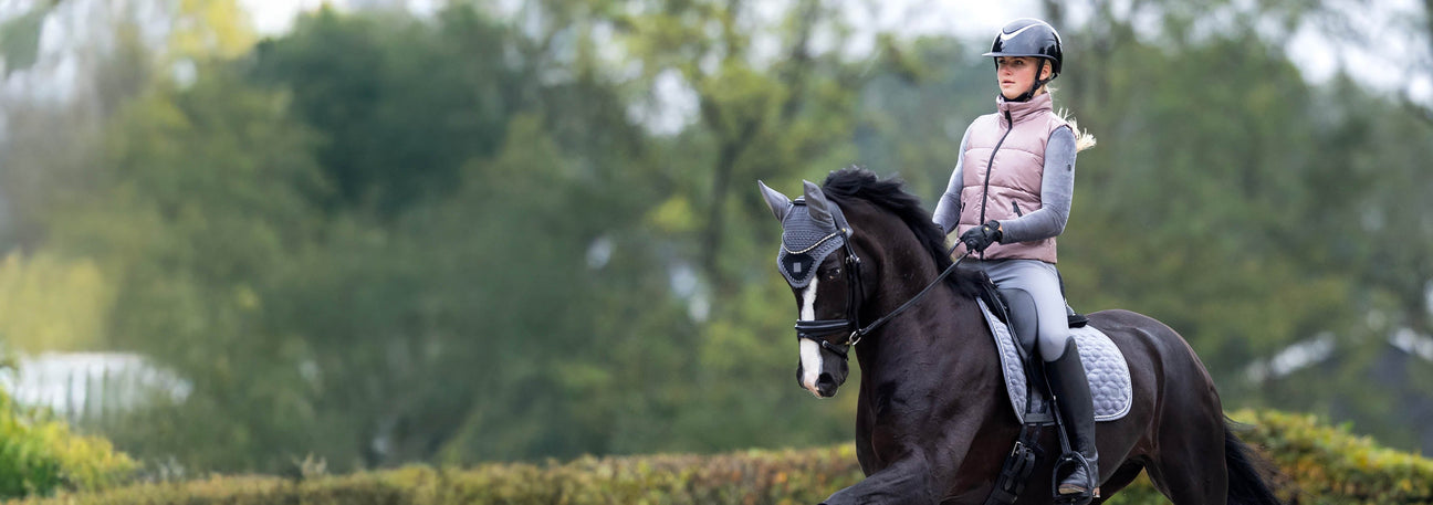 This Week Only! 80% Off Select BR Equestrian Equipment