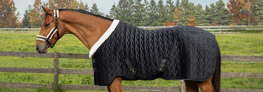 Shedrow Onyx Capsule Collection