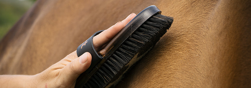 Upgrade Your Grooming Tote