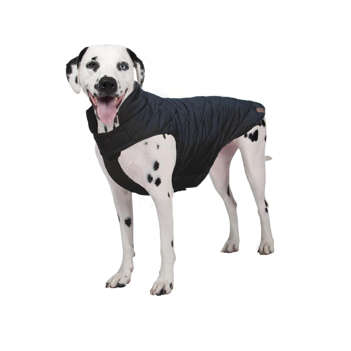 Shedrow K9 Brentwood Quilted Dog Coat