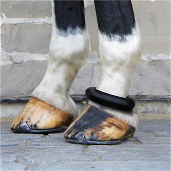 Supra Fetlock Ring