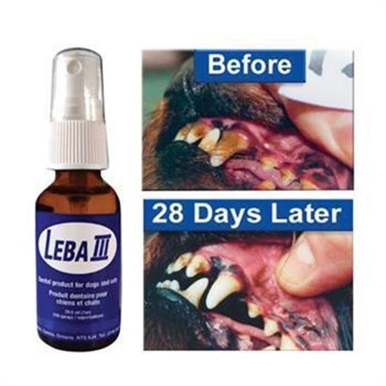 Leba III Dental Spray 1 oz. – Greenhawk USA