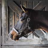 Every Day Essential Leather Halter