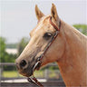 Copper Canyon Finished Leather Double Ear Headstall W/ Chicago Screws