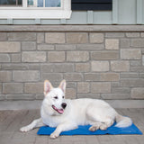 Shedrow K9 Dog Cooling Mat