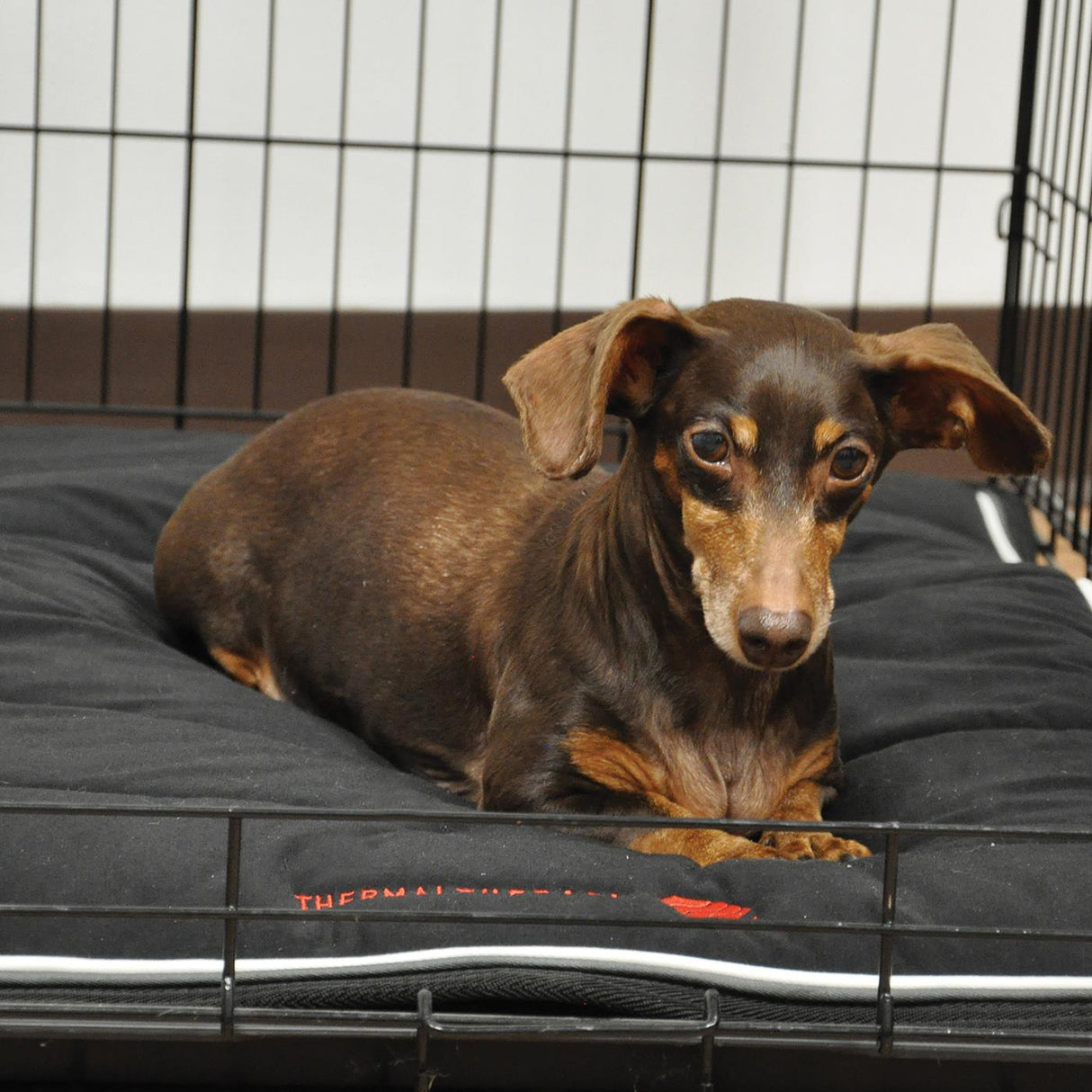 Thermal Therapy Medium Crate Mat