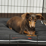 Thermal Therapy Medium Crate Mat