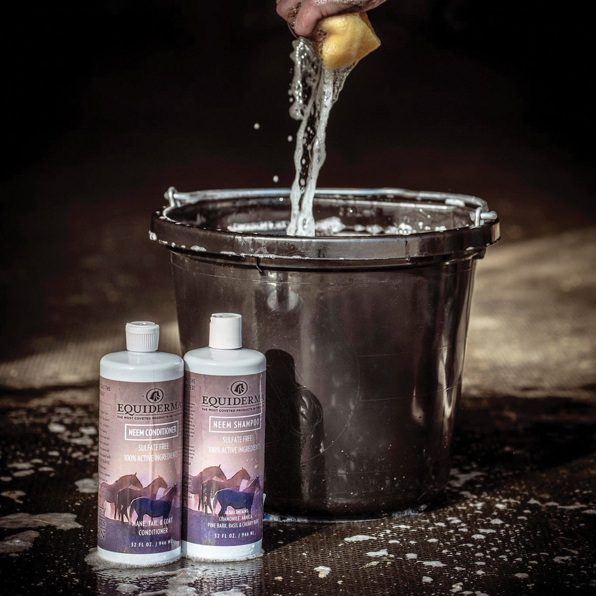 Equiderma Neem Shampoo 32 oz.