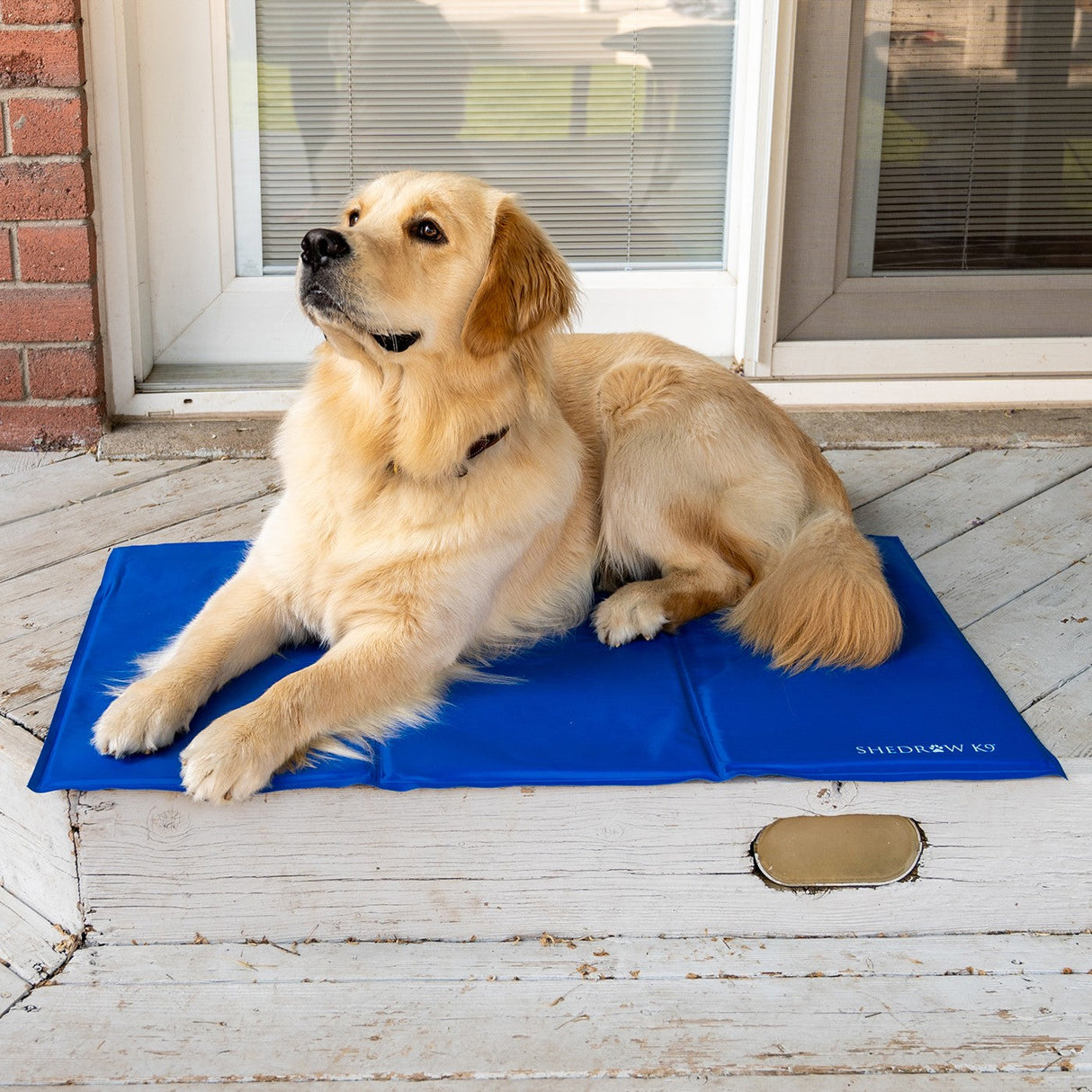 Shedrow K9 Dog Cooling Mat