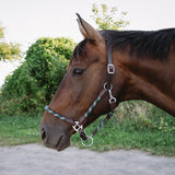 Shedrow Rope & Leather Halter