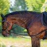 Waldhausen W-TrainRein Draw Reins