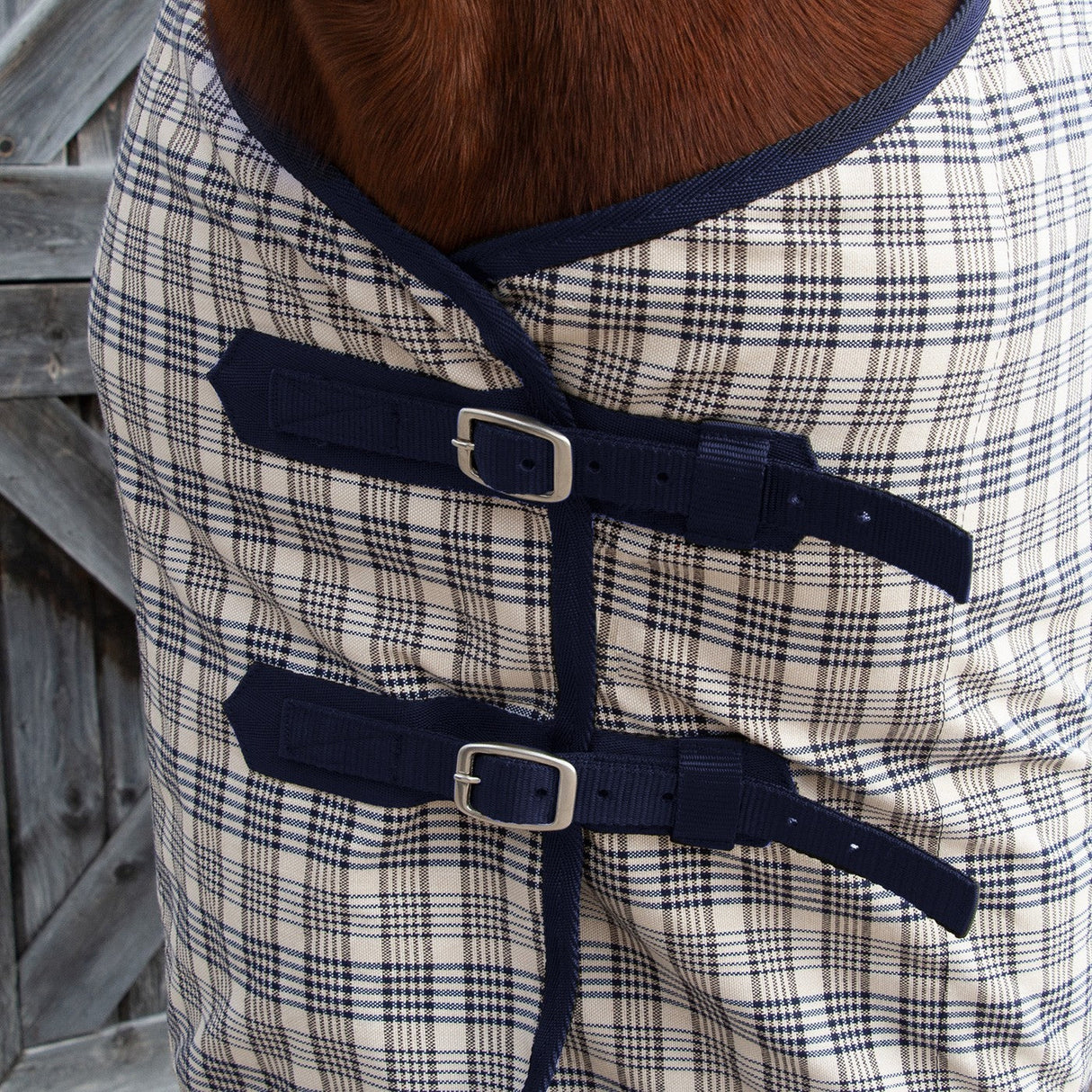 Shedrow Plaid Sheet