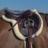 Professional's Choice Hunter Show Saddle Pad W/ VenTech Lining